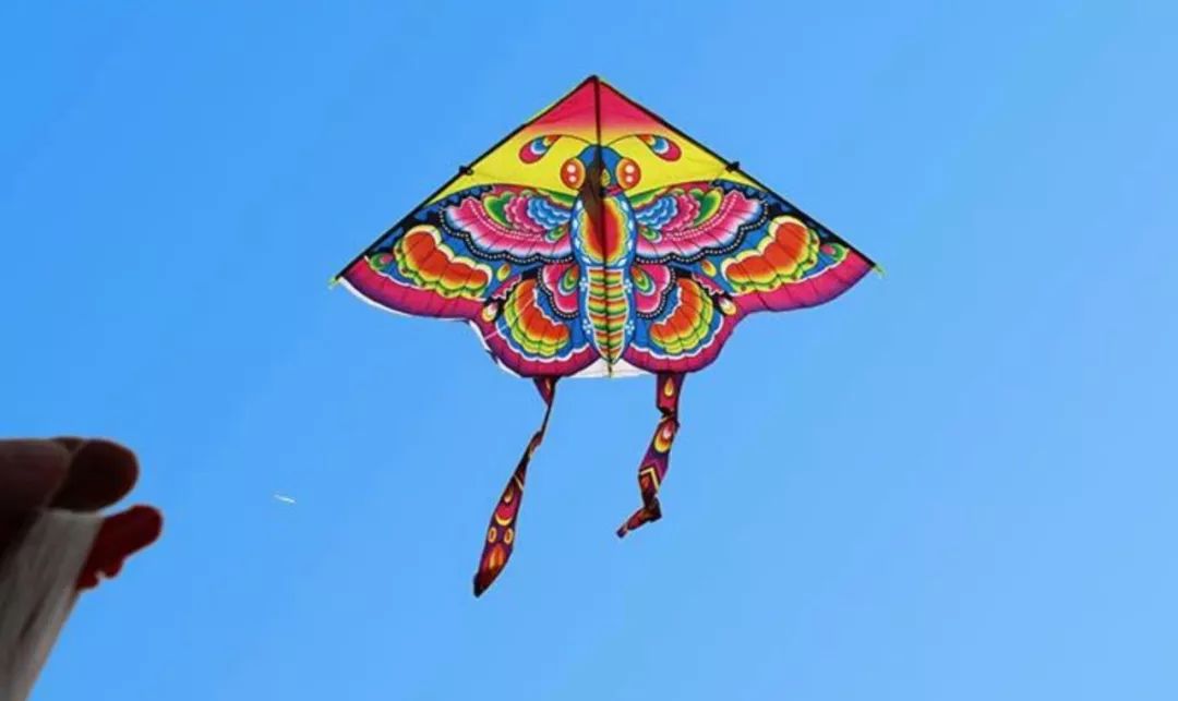 û��ȥΫ���Ź����ݣ�������̸������