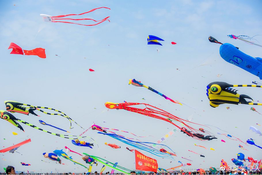 û��ȥΫ���Ź����ݣ�������̸������