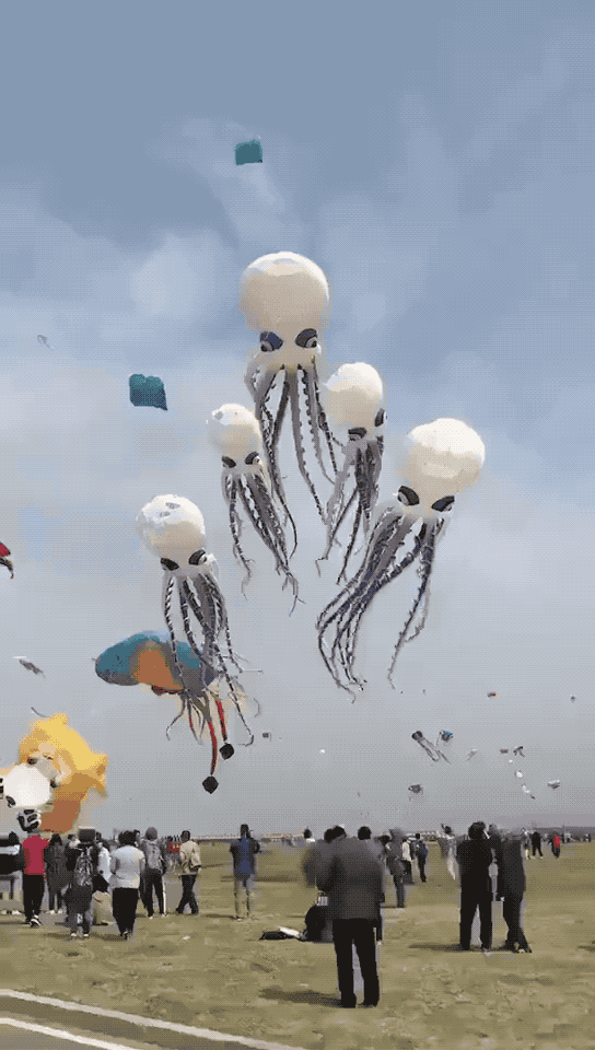 û��ȥΫ���Ź����ݣ�������̸������