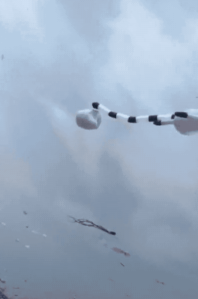 û��ȥΫ���Ź����ݣ�������̸������