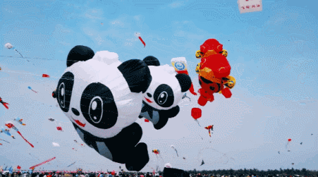 û��ȥΫ���Ź����ݣ�������̸������