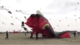 û��ȥΫ���Ź����ݣ�������̸������