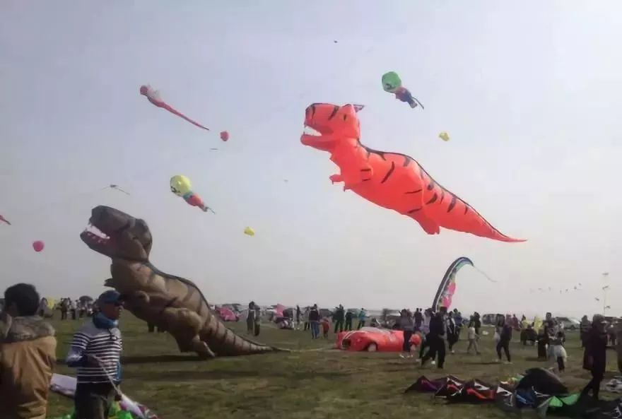 û��ȥΫ���Ź����ݣ�������̸������