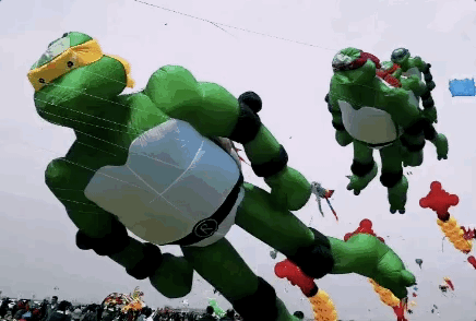 û��ȥΫ���Ź����ݣ�������̸������