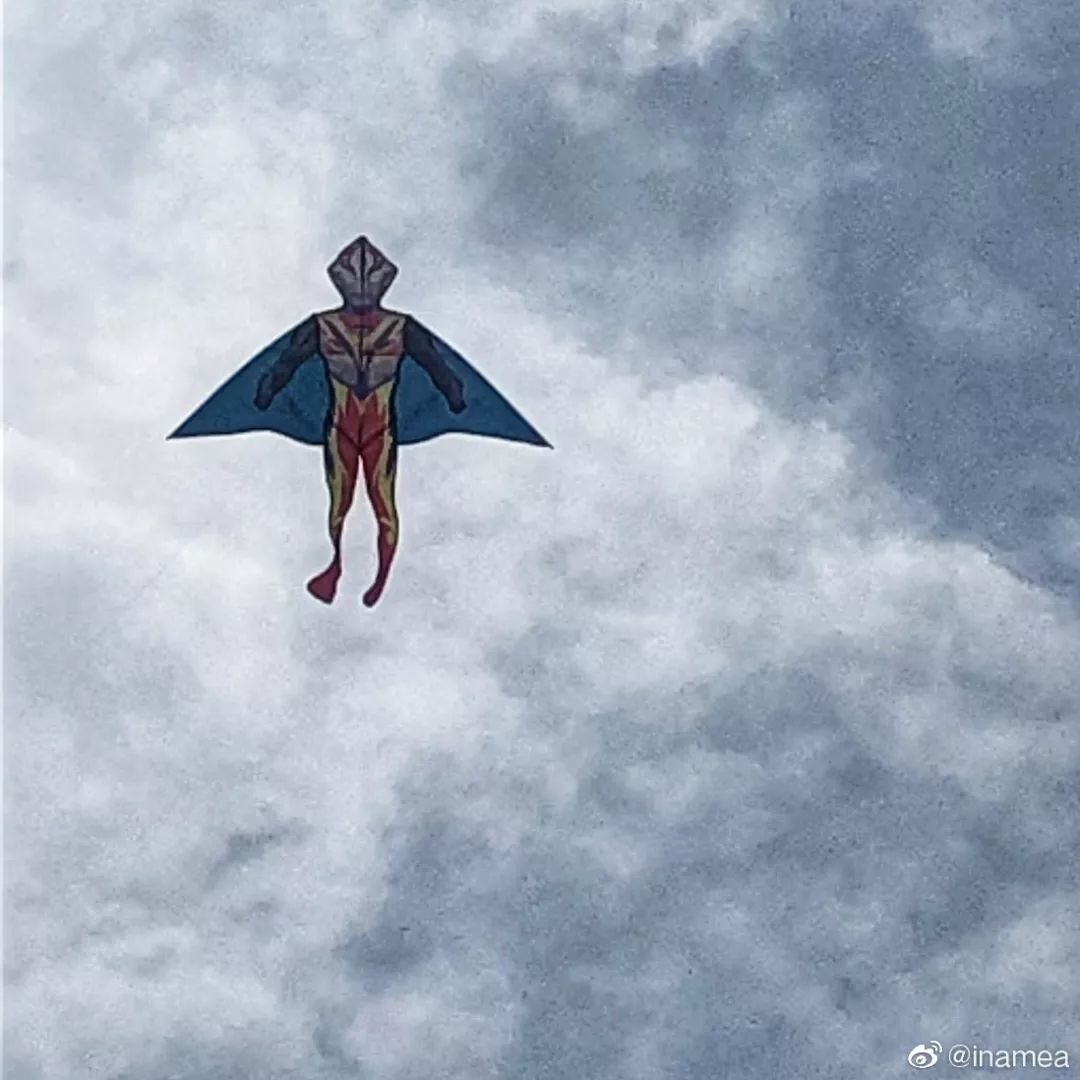 û��ȥΫ���Ź����ݣ�������̸������