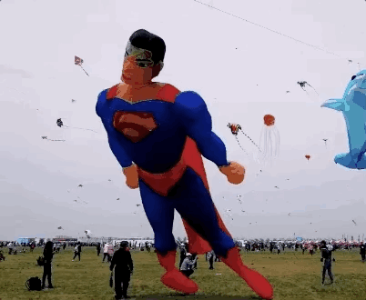 û��ȥΫ���Ź����ݣ�������̸������