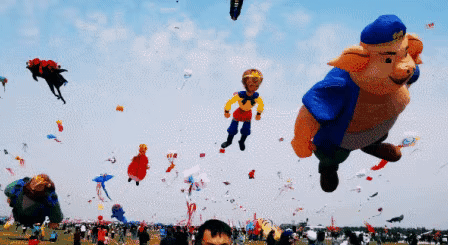 û��ȥΫ���Ź����ݣ�������̸������