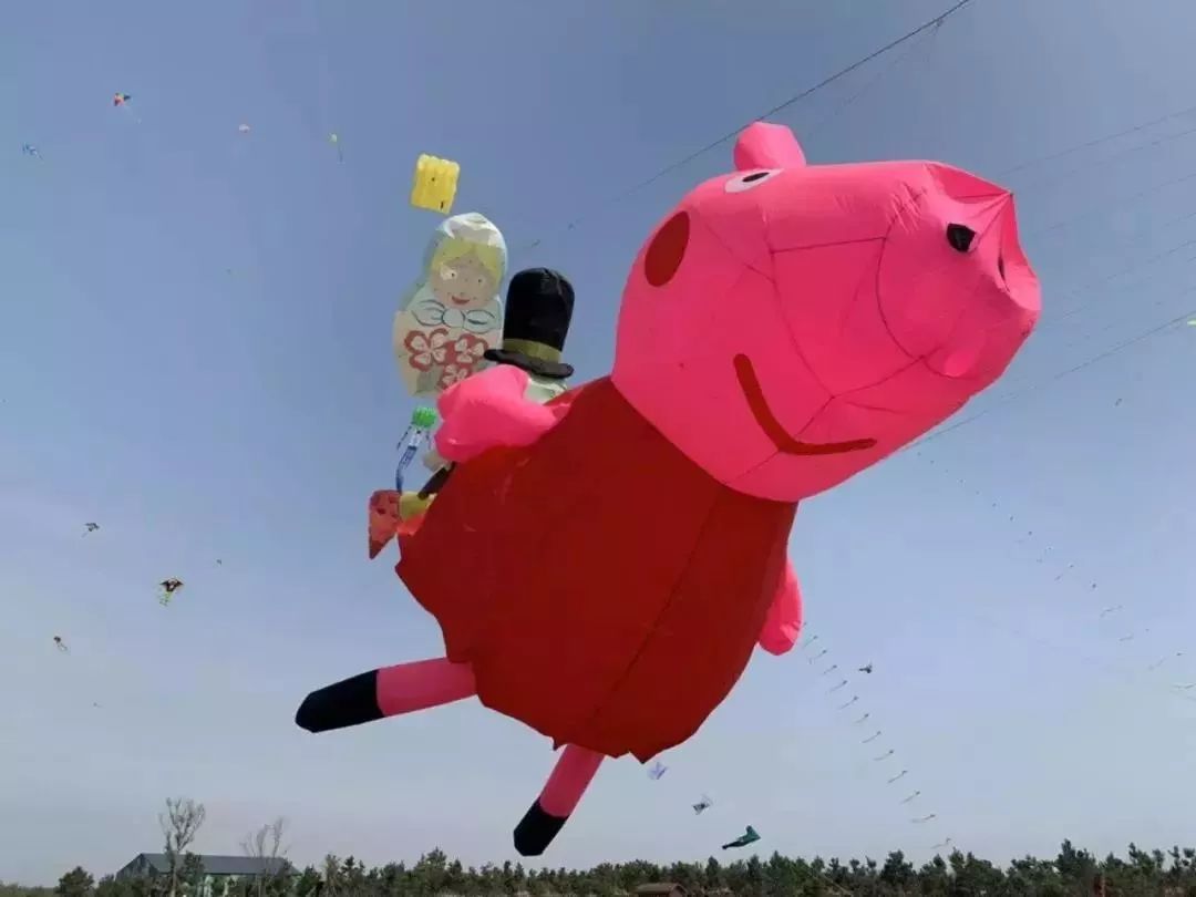 û��ȥΫ���Ź����ݣ�������̸������