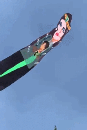 û��ȥΫ���Ź����ݣ�������̸������