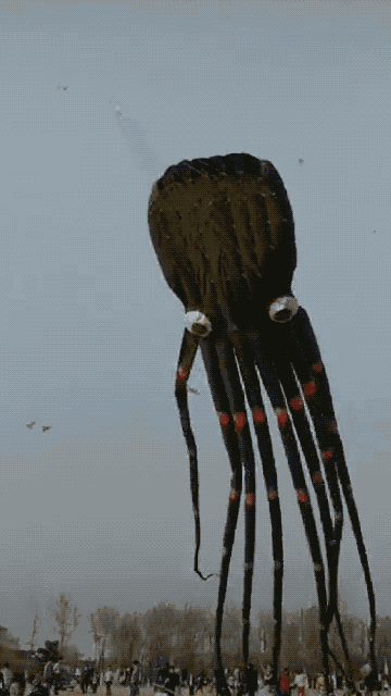 û��ȥΫ���Ź����ݣ�������̸������