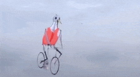 û��ȥΫ���Ź����ݣ�������̸������