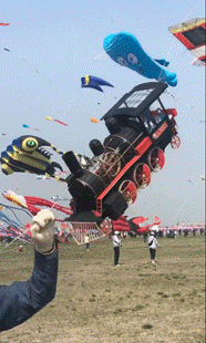 û��ȥΫ���Ź����ݣ�������̸������