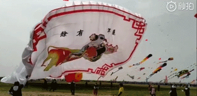 û��ȥΫ���Ź����ݣ�������̸������