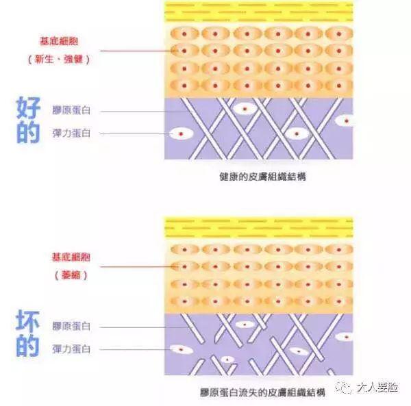 大家艳羡的好嫁女章泽天在“已嫁风”面前输的一败涂地!