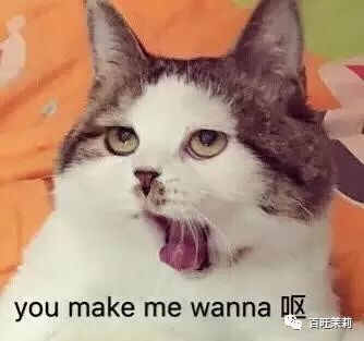 前脚辱华,后脚在国内买水军,这群韩国人够了吧?