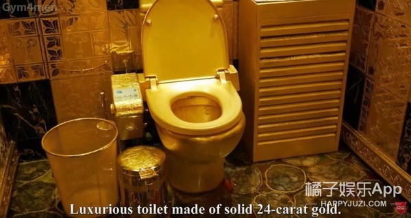 行,这次搞到真王子了…