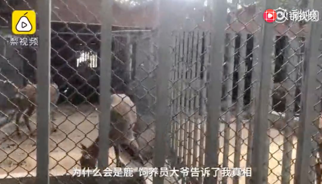 �ڰ��հ���ӣ�ÿ����10000���ڼ�װ���Ρ���