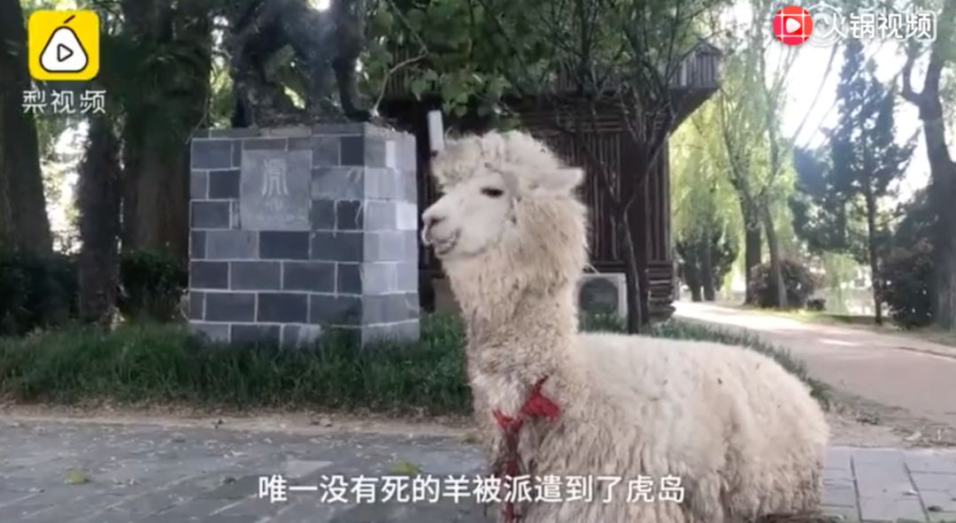 �ڰ��հ���ӣ�ÿ����10000���ڼ�װ���Ρ���