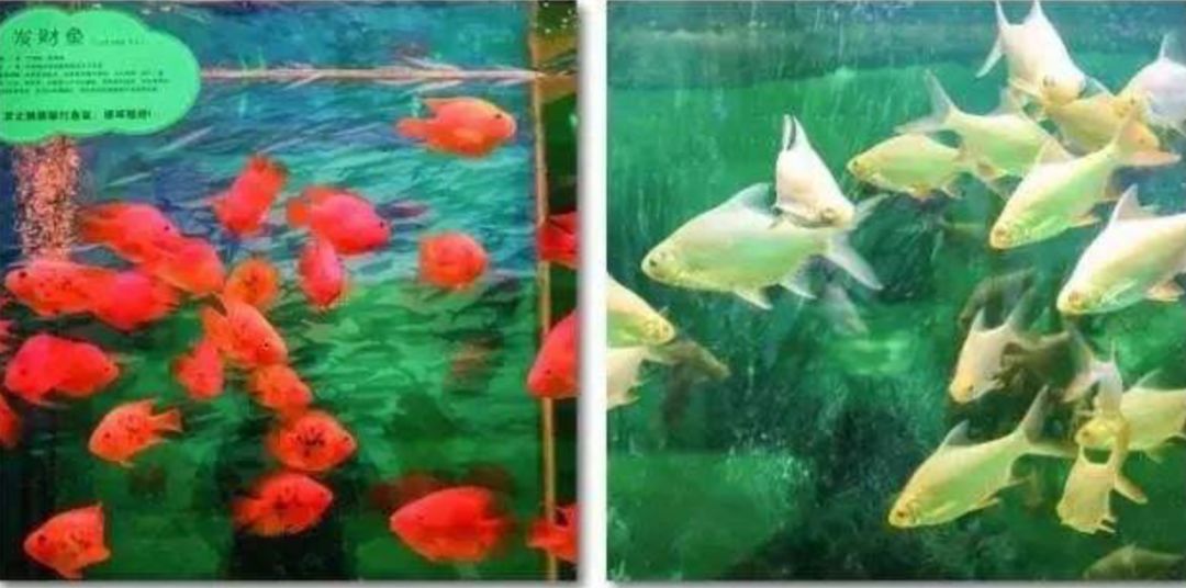 �ڰ��հ���ӣ�ÿ����10000���ڼ�װ���Ρ���