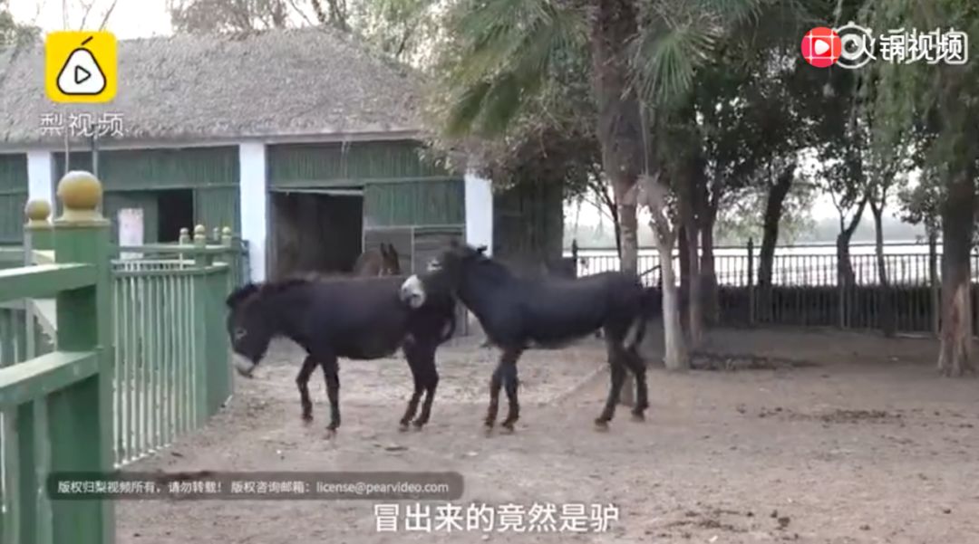 �ڰ��հ���ӣ�ÿ����10000���ڼ�װ���Ρ���