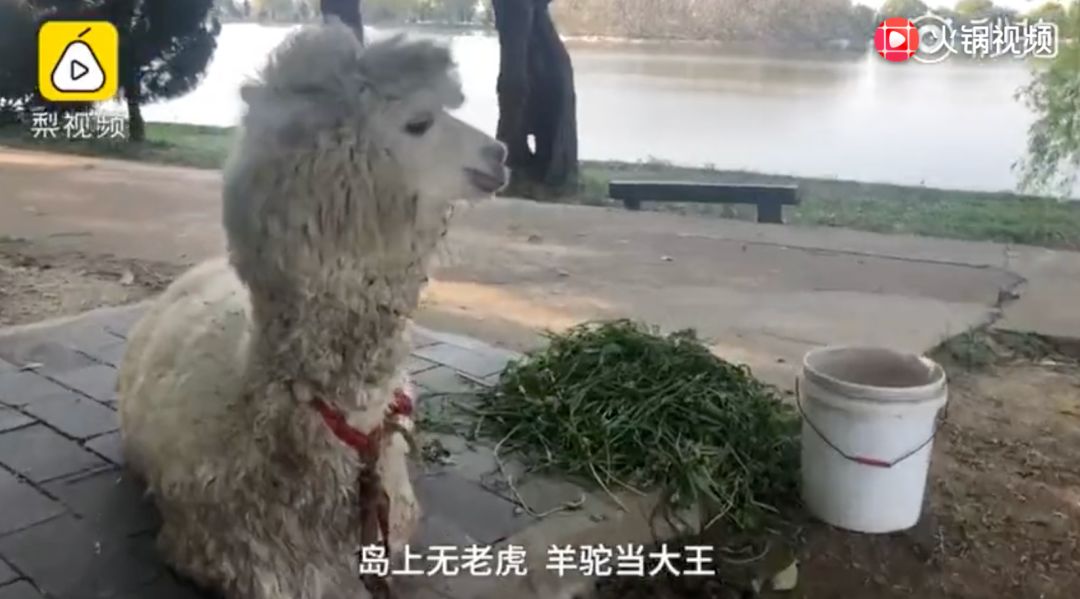 �ڰ��հ���ӣ�ÿ����10000���ڼ�װ���Ρ���