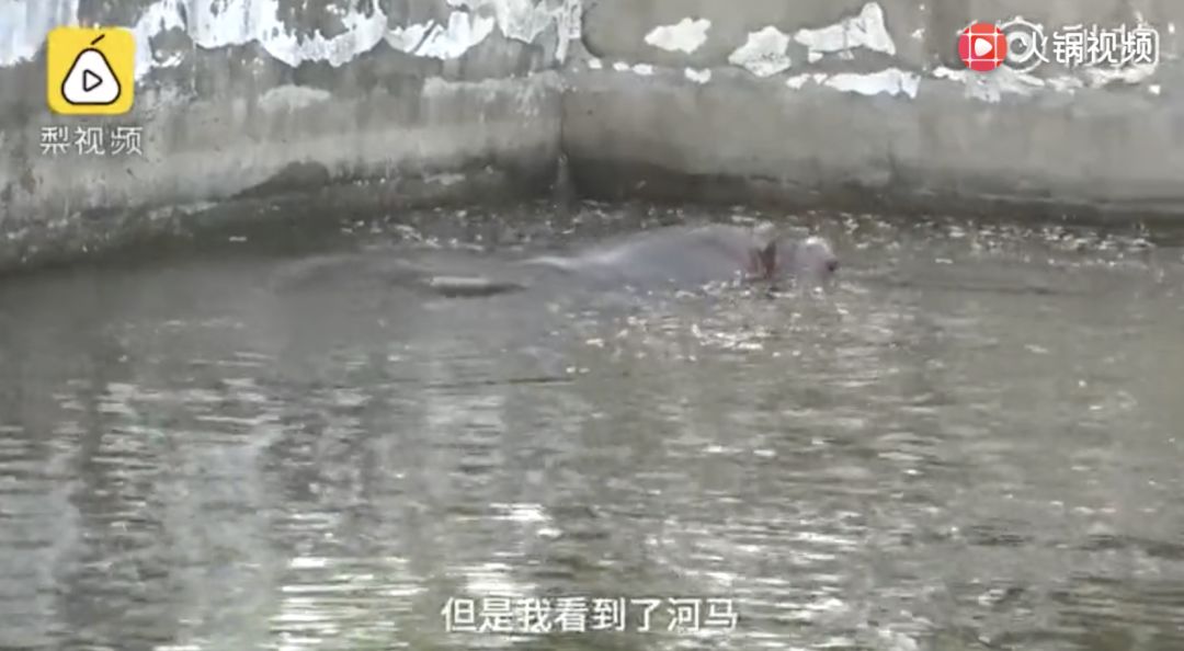 �ڰ��հ���ӣ�ÿ����10000���ڼ�װ���Ρ���