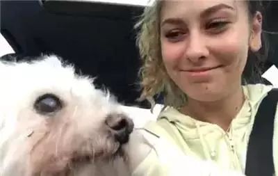 爱了你13年,但现在要分手了.....