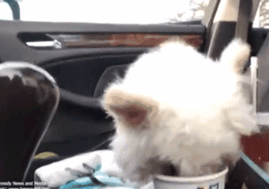 爱了你13年,但现在要分手了.....