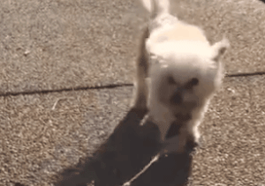 爱了你13年,但现在要分手了.....