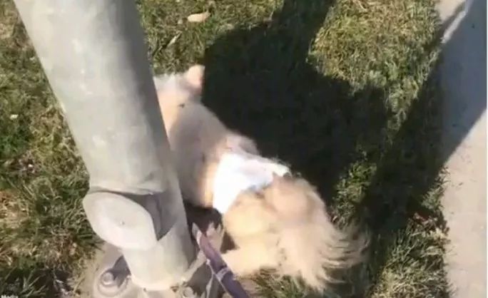 爱了你13年,但现在要分手了.....