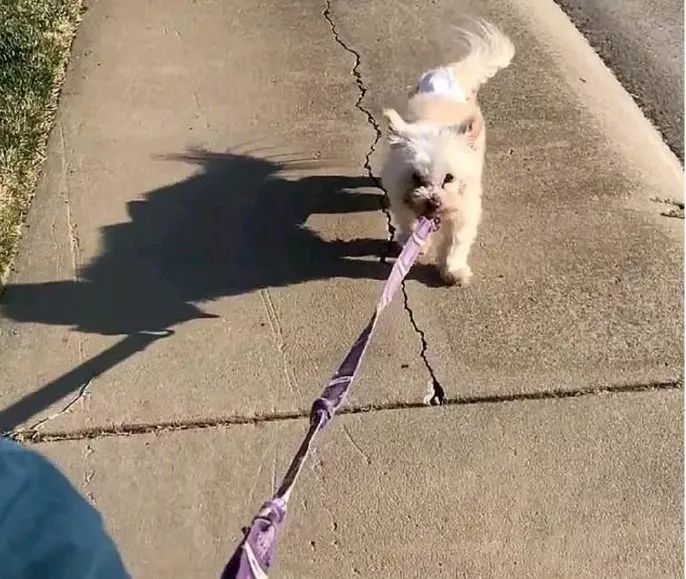 爱了你13年,但现在要分手了.....