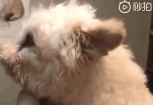 爱了你13年,但现在要分手了.....