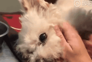 爱了你13年,但现在要分手了.....