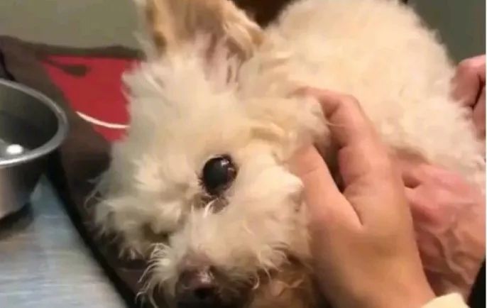 爱了你13年,但现在要分手了.....