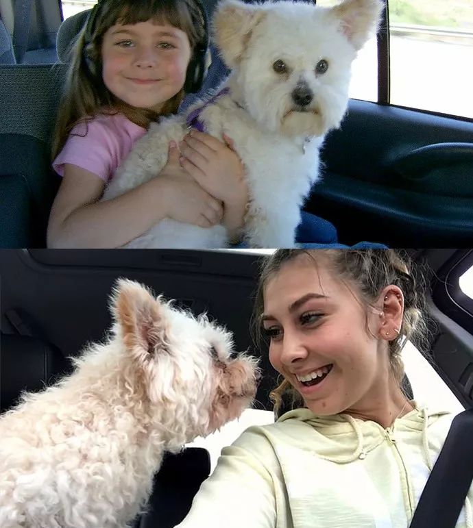 爱了你13年,但现在要分手了.....