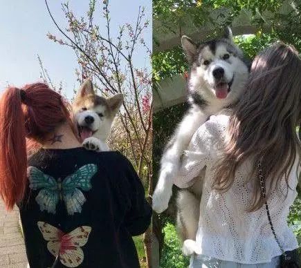 爱了你13年,但现在要分手了.....