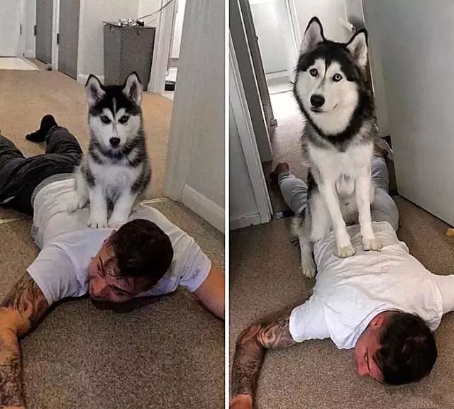 爱了你13年,但现在要分手了.....