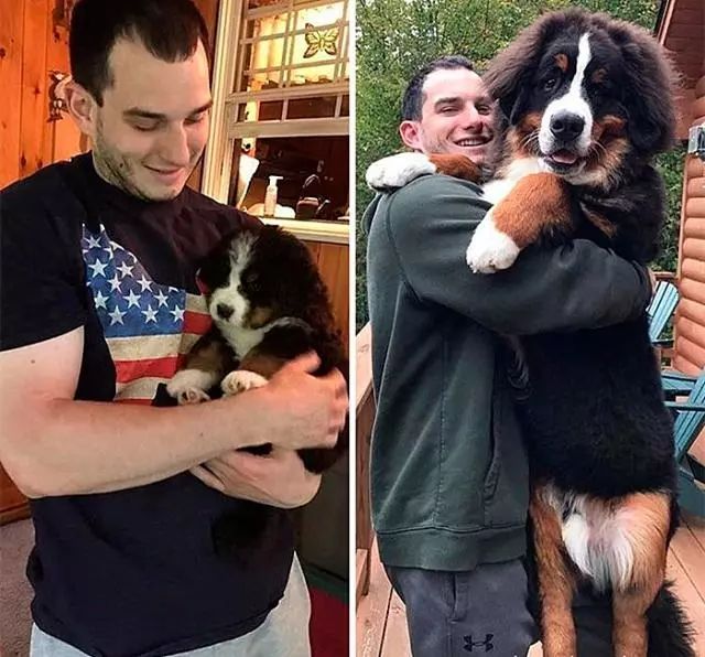 爱了你13年,但现在要分手了.....