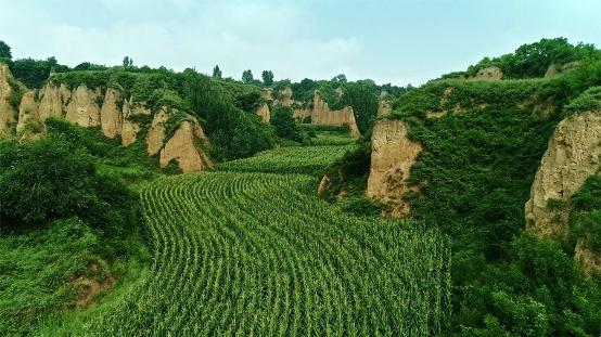 ��¼Ƭ�������������ڶ������ױ���Ȼ�ж����ˣ�ζ�ٲ��ִܵ�Զ��