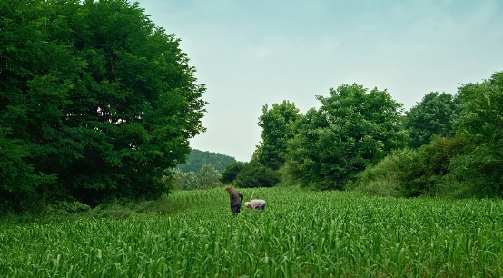 ��¼Ƭ�������������ڶ������ױ���Ȼ�ж����ˣ�ζ�ٲ��ִܵ�Զ��