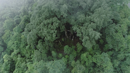 ��¼Ƭ�������������ڶ������ױ���Ȼ�ж����ˣ�ζ�ٲ��ִܵ�Զ��