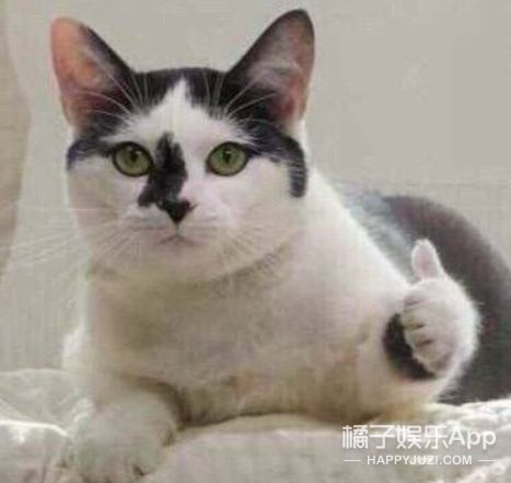 她的“绯闻男友”是亲爸?