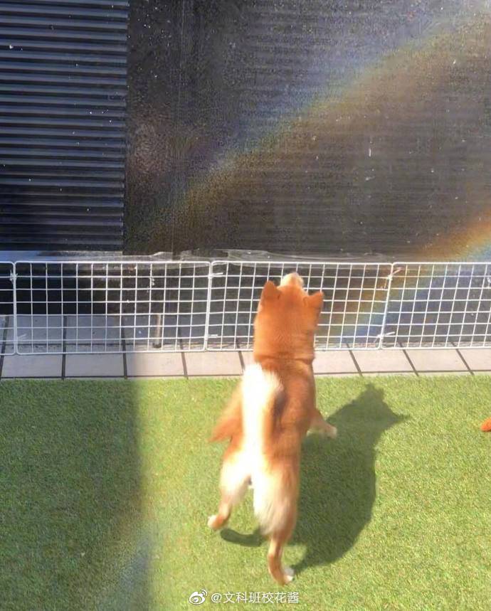 86b36fb5ly1g2q8ou5dhdj20j60nvmzk