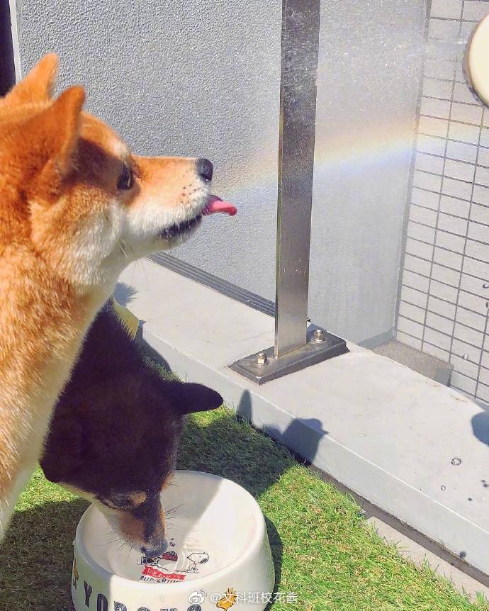 86b36fb5ly1g2q8ov4qc2j20j60nyad6