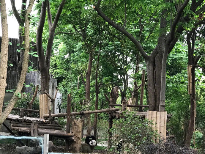 802e31b8ly1g2nwfvcklij23402c0qv7