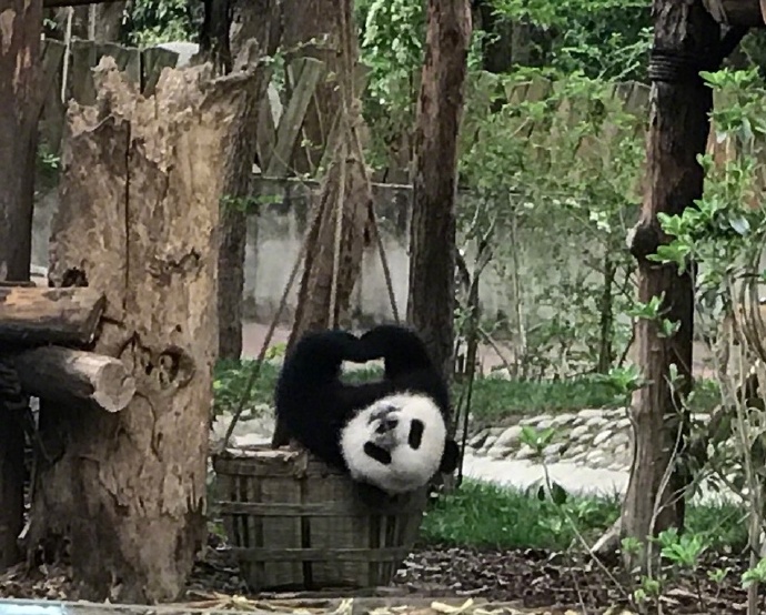 802e31b8ly1g2nwf5l1muj20qg0l8n55