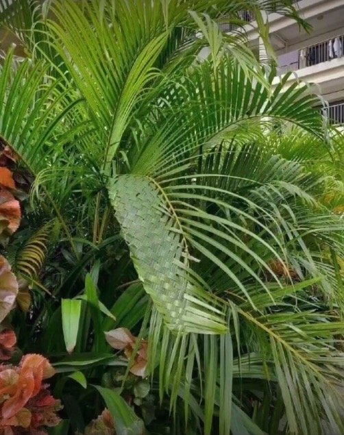 b2325dffgy1g2qbxdvmgfj20dy0hnadi