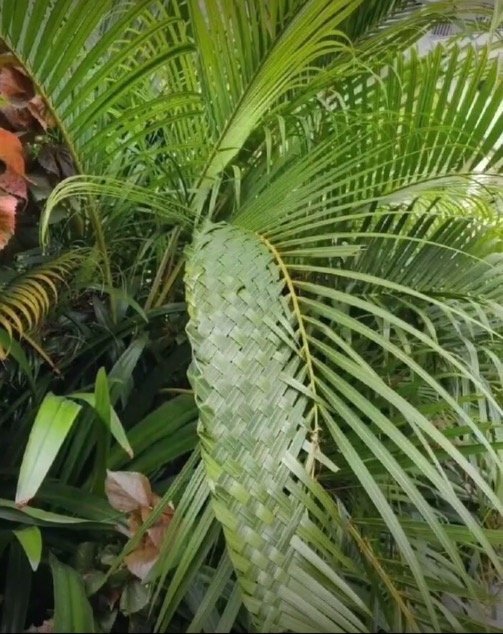 b2325dffgy1g2qbxdvlkvj20dz0hm41m