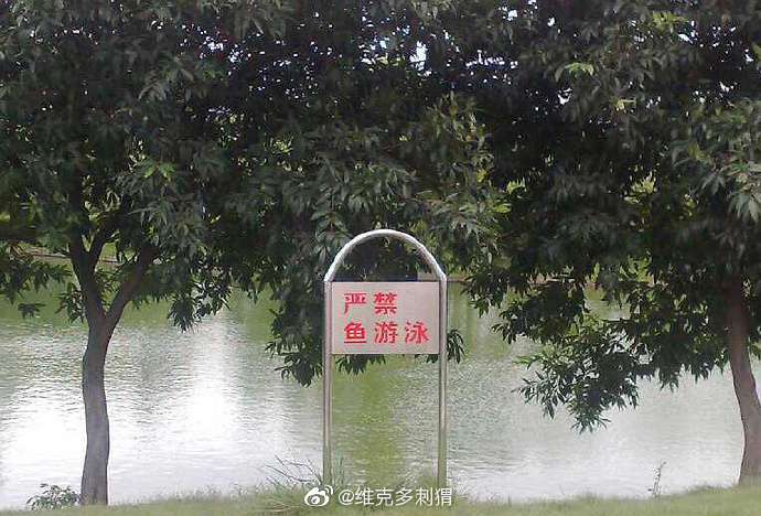 776281aely1g2s02lft5aj20l90ef10w