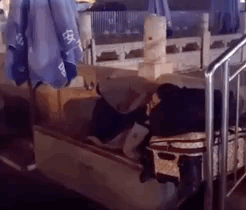 ������30�Ŷ�ͼ���Ҿ����ú����